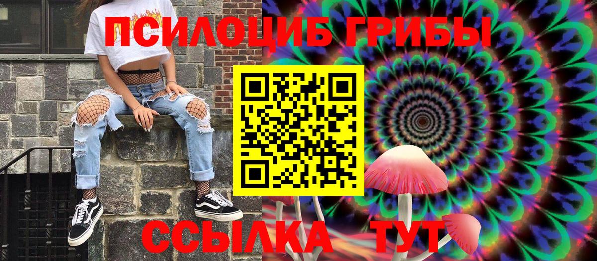 Псилоцибиновые грибы мицелий Волхов